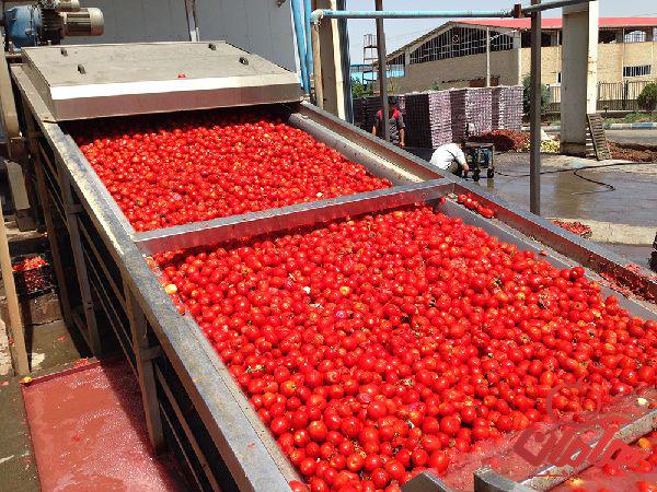 بهترین کارخانه تولید رب گوجه فرنگی 70 گرمی در تهران