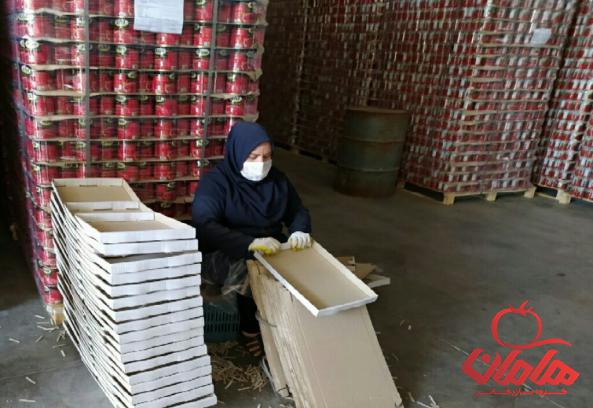 شرکت صادرات رب گوجه حلبی با بهترین کیفیت