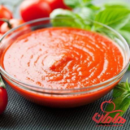 عوامل اصلی در تعیین قیمت رب گوجه فرنگی اسپتیک