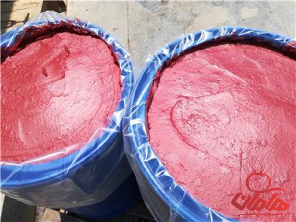 بزرگترین تولید کننده رب گوجه فرنگی اسپتیک درجه یک در ایران