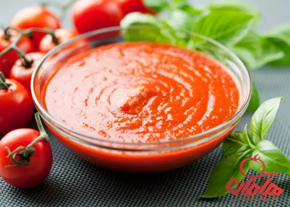 بزرگترین فروشنده رب گوجه فرنگی صادراتی در بازار ایران