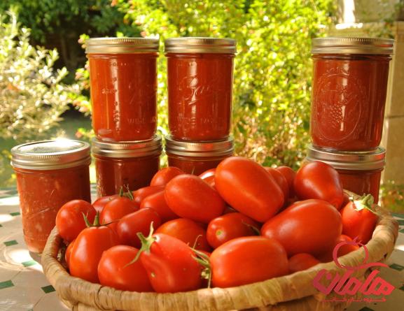 فروش رب گوجه فرنگی در وزن های مختلف با بسته بندی بهداشتی