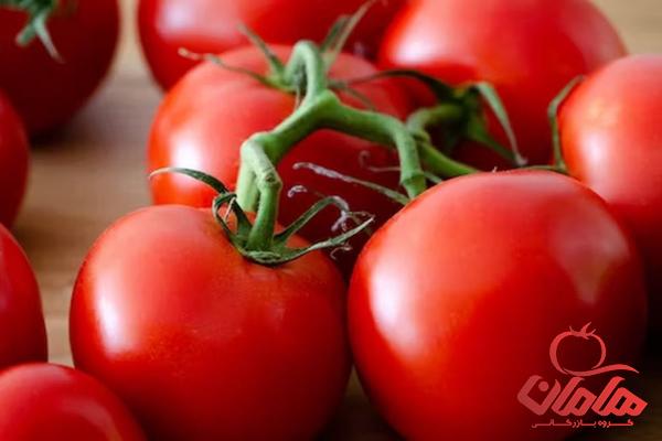 خرید بهترین انواع رب گوجه فرنگی سالم با قیمت ارزان