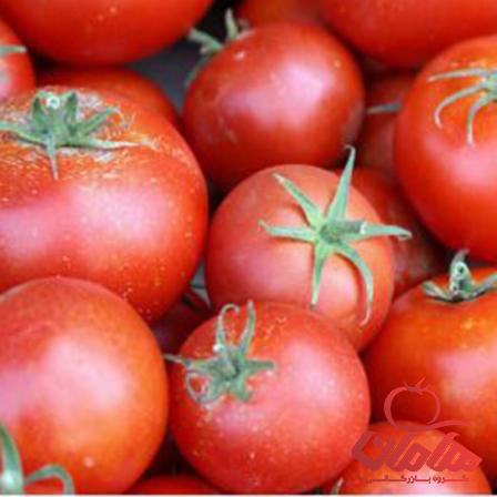 رب گوجه فرنگی آسان بازشو مجید ۸۰۰ گرمی | قیمت عالی