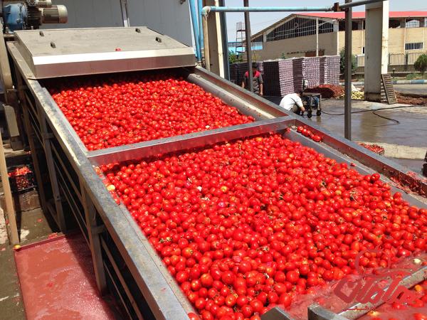 کارخانه رب گوجه خوشبخت