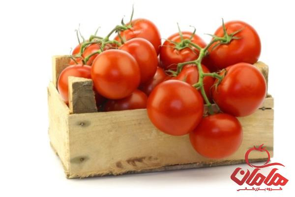 خرید رب گوجه فرنگی آذربایجان | فروش انواع رب گوجه فرنگی آذربایجان با قیمت مناسب