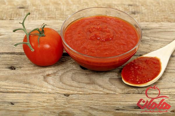 خرید رب گوجه فرنگی دلپذیر | فروش انواع رب گوجه فرنگی دلپذیر با قیمت مناسب