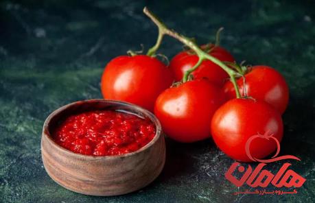 قیمت خرید رب گوجه گلخانه ای + خواص، معایب و مزایا