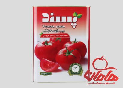 رب گوجه 17 کیلویی پسند | خرید با قیمت ارزان